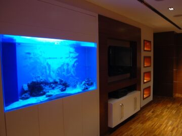istanbul_gunes_ecza_deposu_istanbul_sefakoy-10